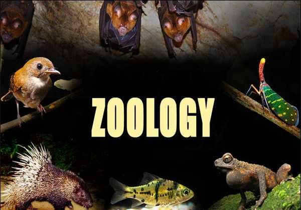 Do my Biology Courses